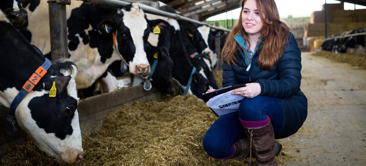 Agriculture Livestock Production Student