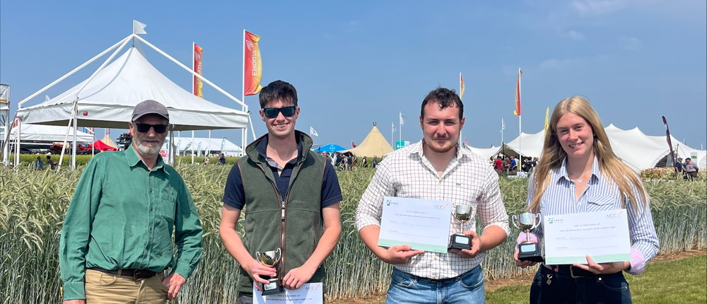 Cereals 2025 Winners